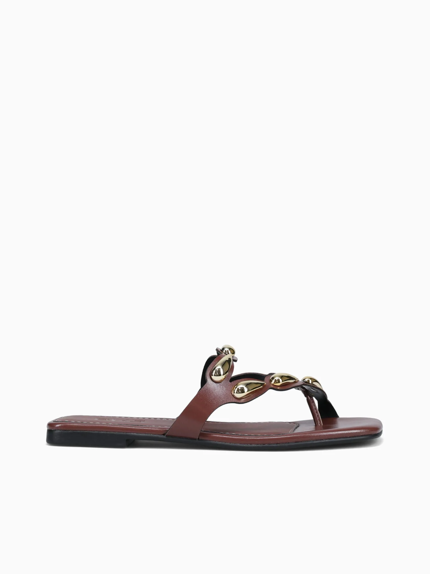 Dory Terra Intense