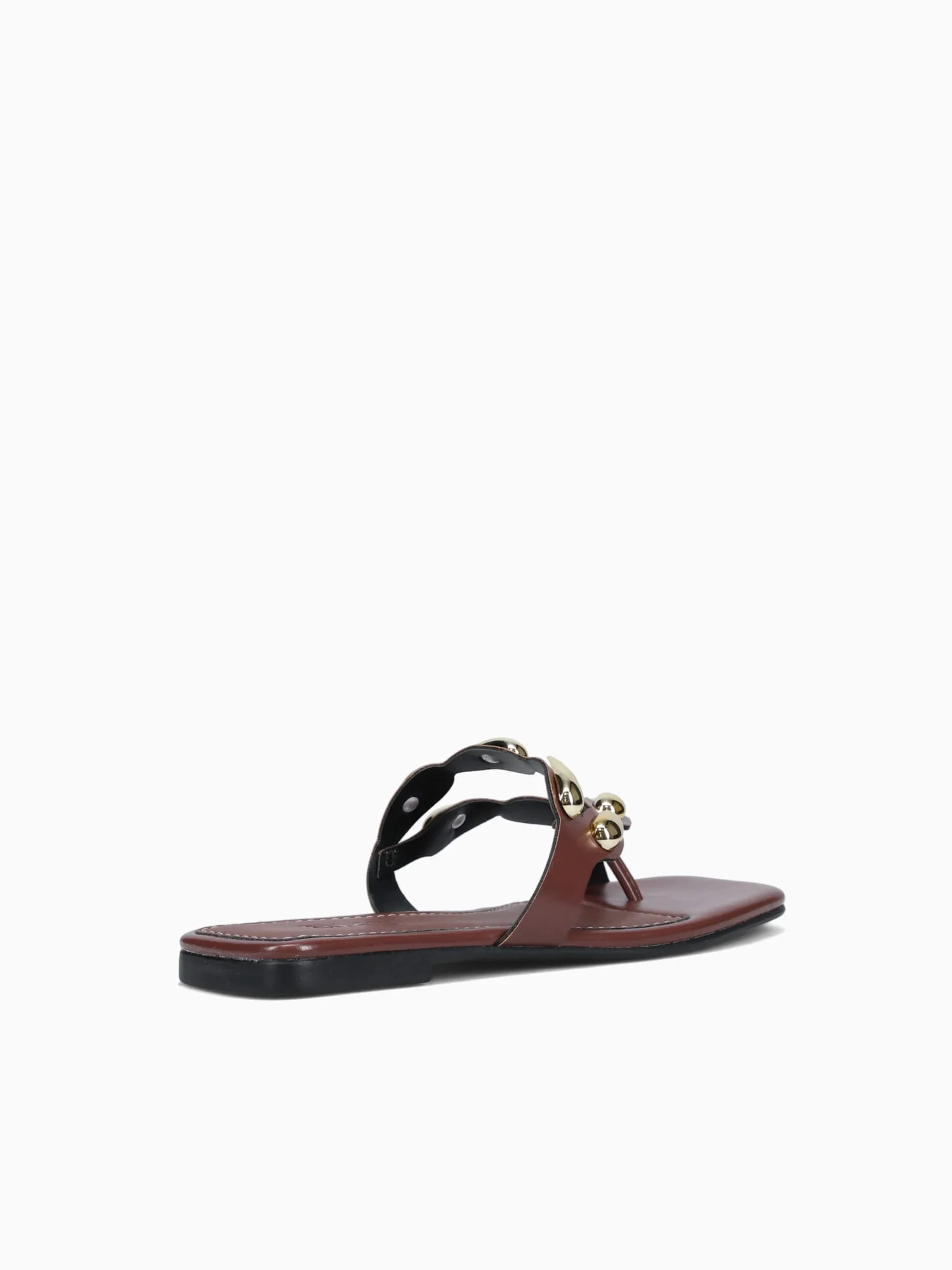 Dory Terra Intense - Image 6