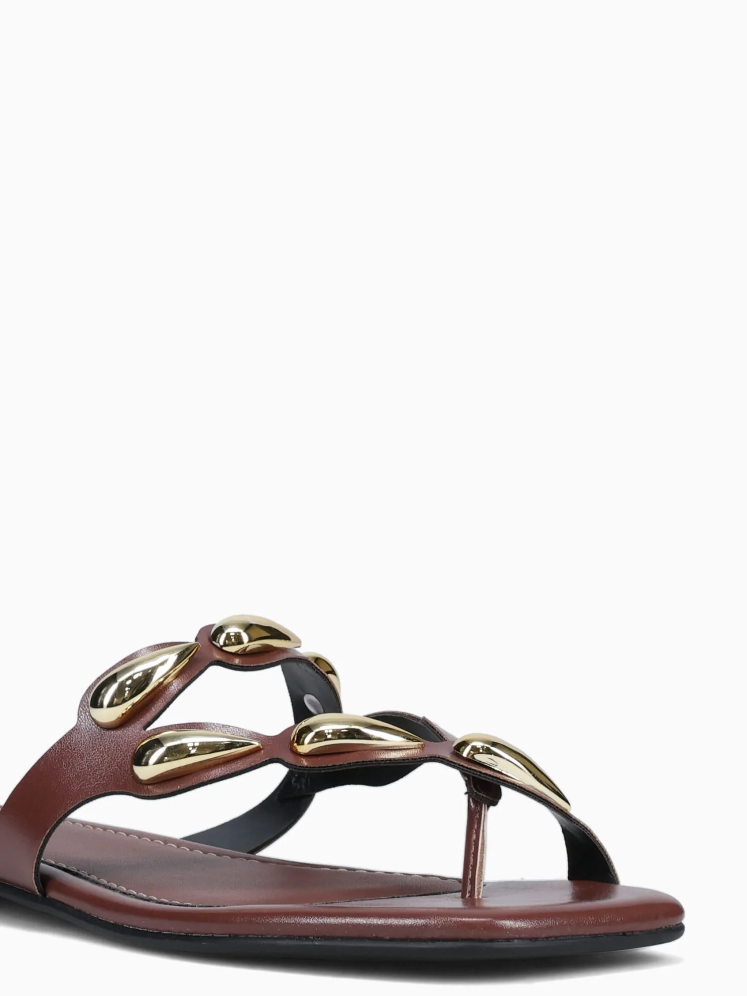 Dory Terra Intense - Image 7