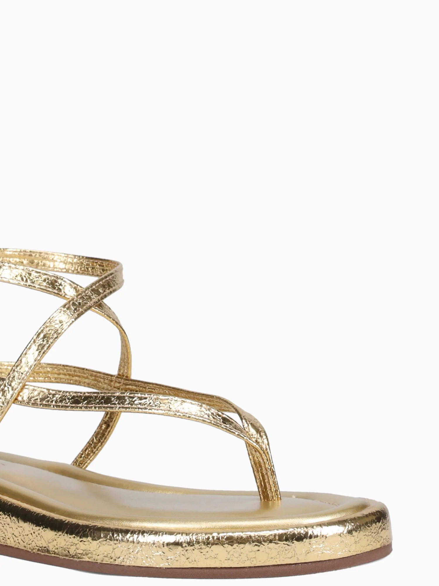 Sundara Ouro Metallic - Image 7