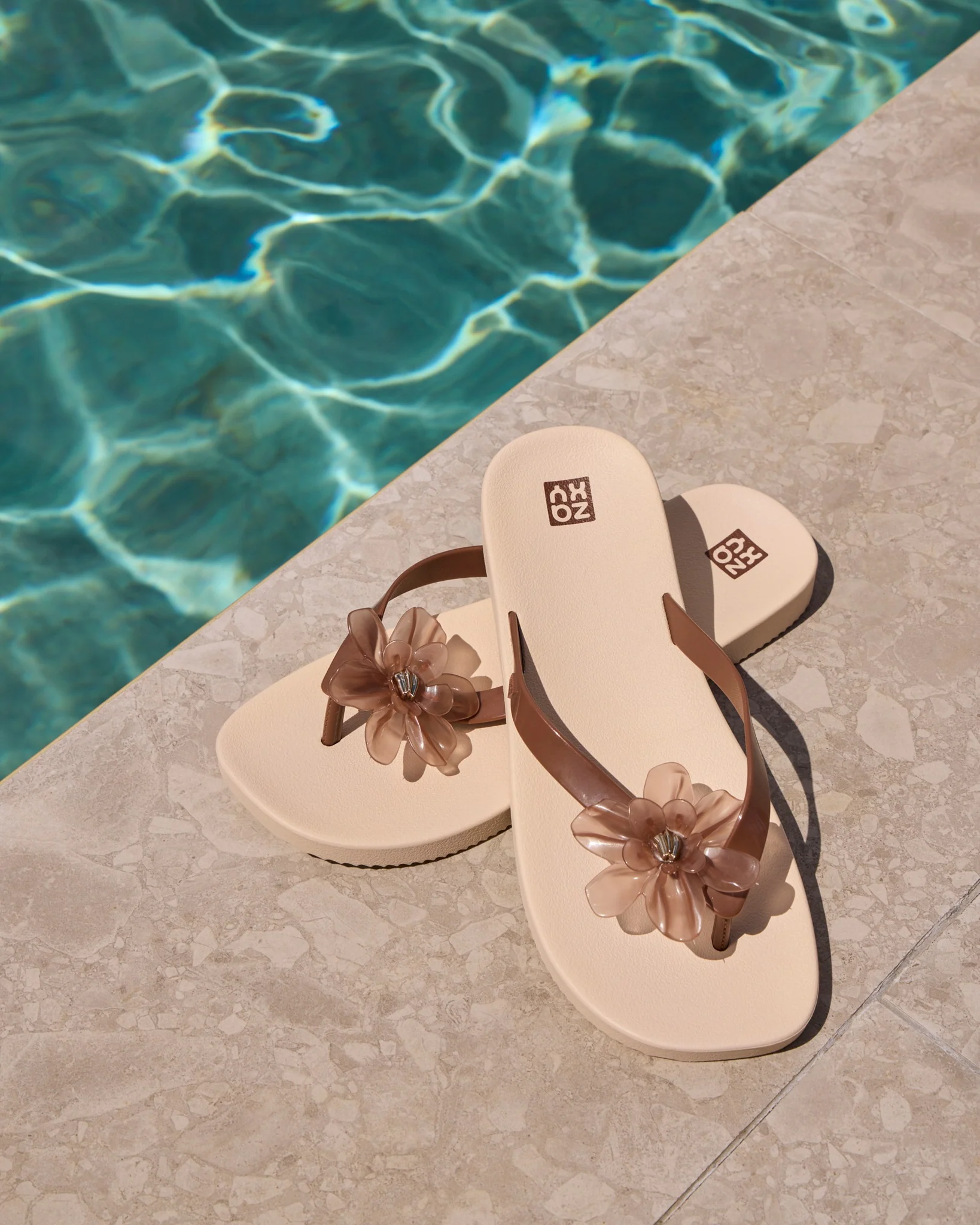 Zaxy Summer Coffee Brown jelly - Image 3